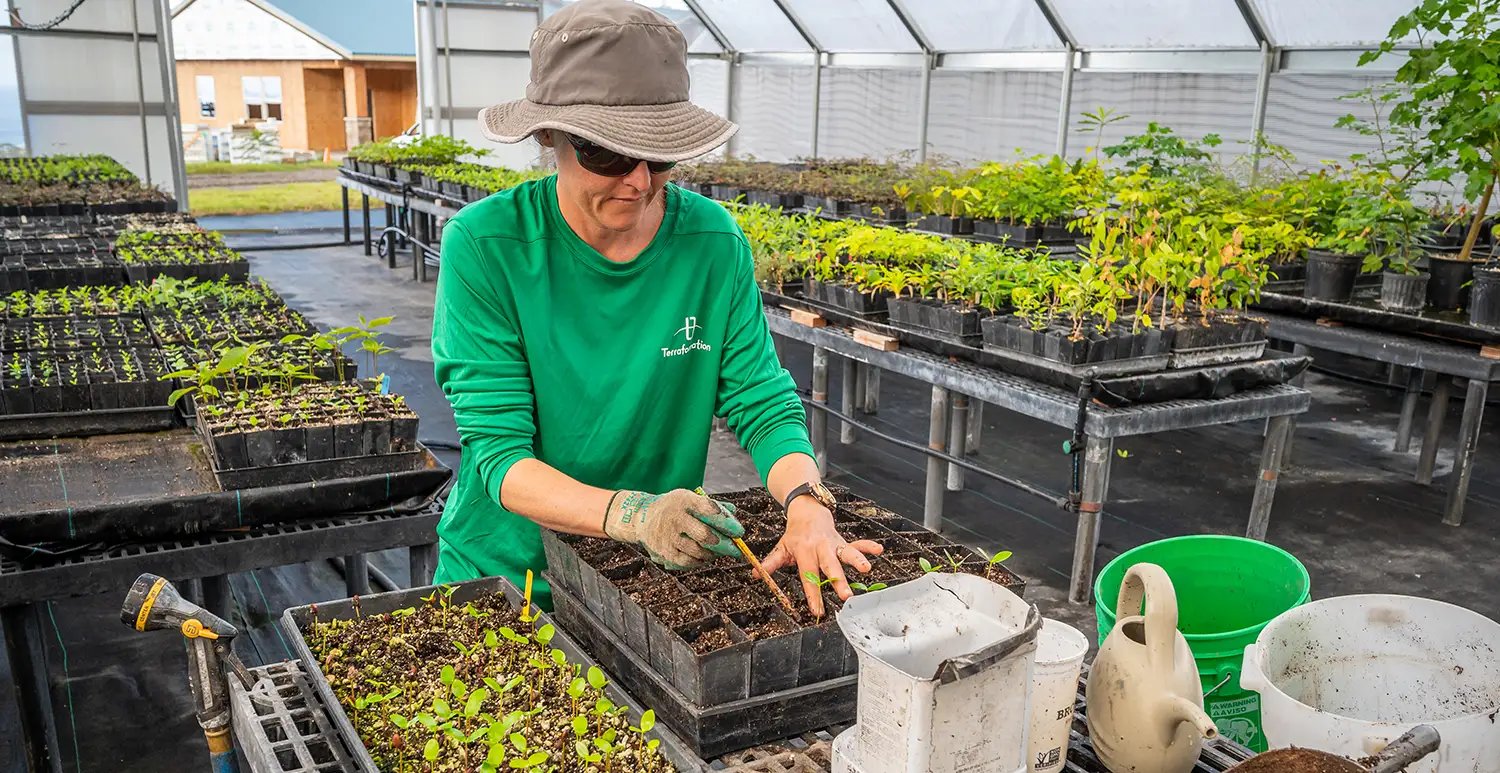 A Terraformation Internal Forestry Operations team member works in a nursery