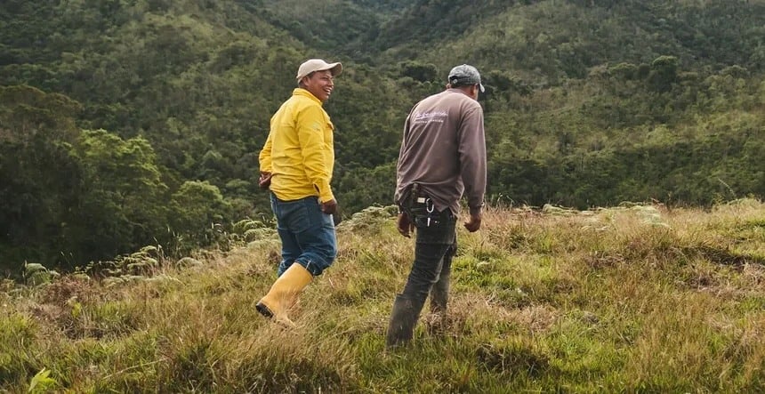 Two local foresters walk in a forest restoration area in Colombia
