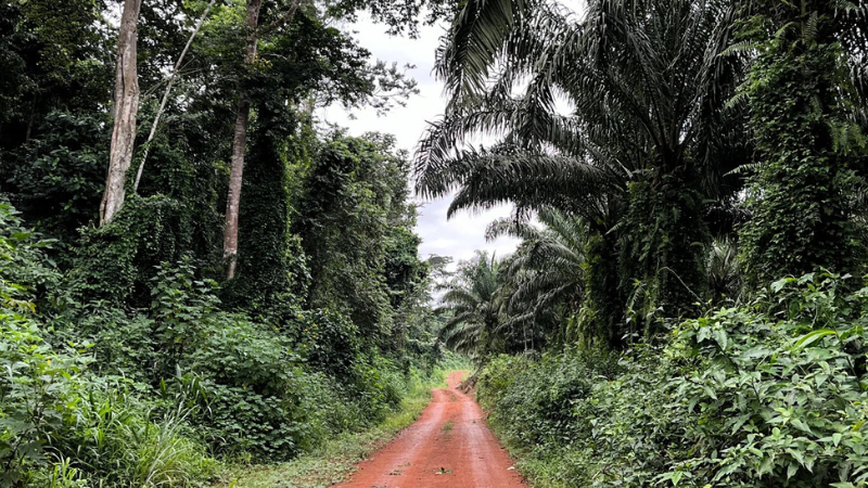 iroko-webinar-image-block-2 iroko-webinar-image-block-2