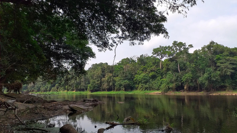 iroko-webinar-image-block-3 iroko-webinar-image-block-3