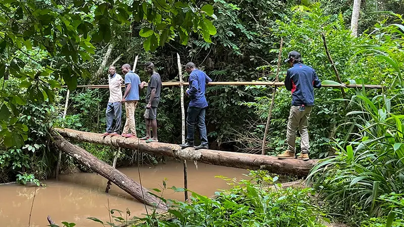 iroko-webinar-image-block-4 iroko-webinar-image-block-4